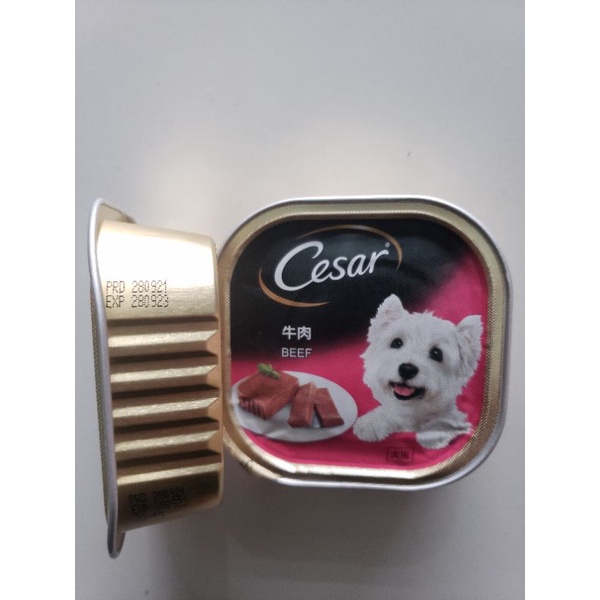 Makanan Anjing Cesar / Dog Food Cesar Wet Food 100gr - Beef