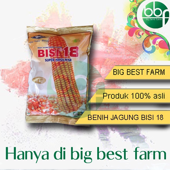 Bibit Jagung Hibrida Bisi 18