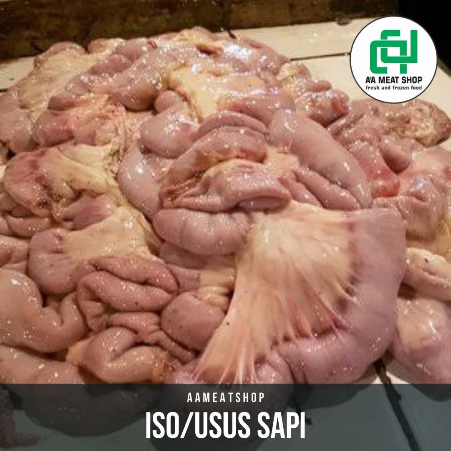 usus sapi /iso sapi /tamusu mentah