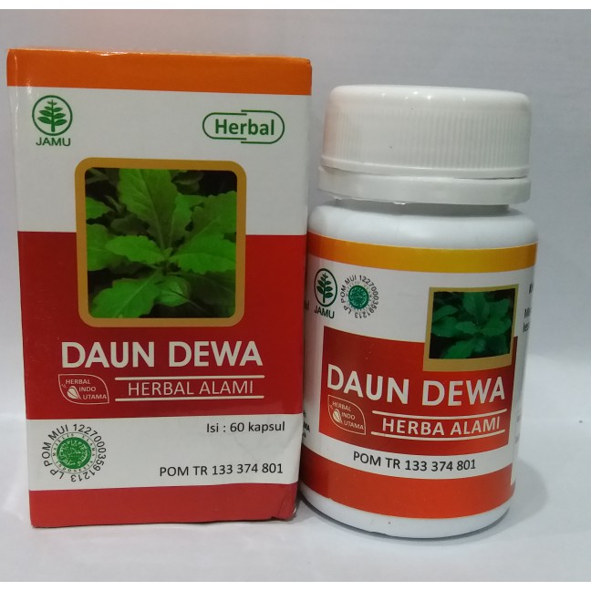 

Hiu Daun Dewa Herbal Daun Dewa