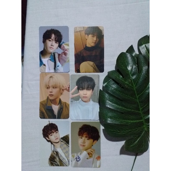 pothocard jeongwoo yoshi junkyu black mamba junkyu kuping asahi jumatan doyoung ch3 doyoung kempi do