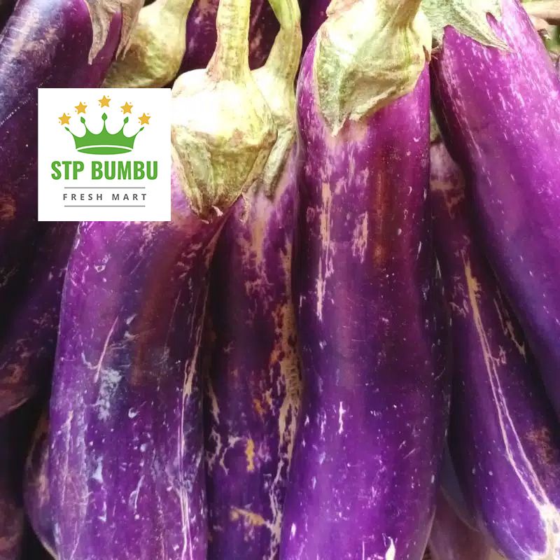 

Terong Ungu Panjang Segar 500 gram / Sayur Fresh