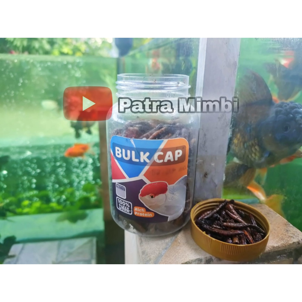 Pakan Makanan Ikan Mas Koki Ulet Ulat Jerman Kering PATRA MIMBI