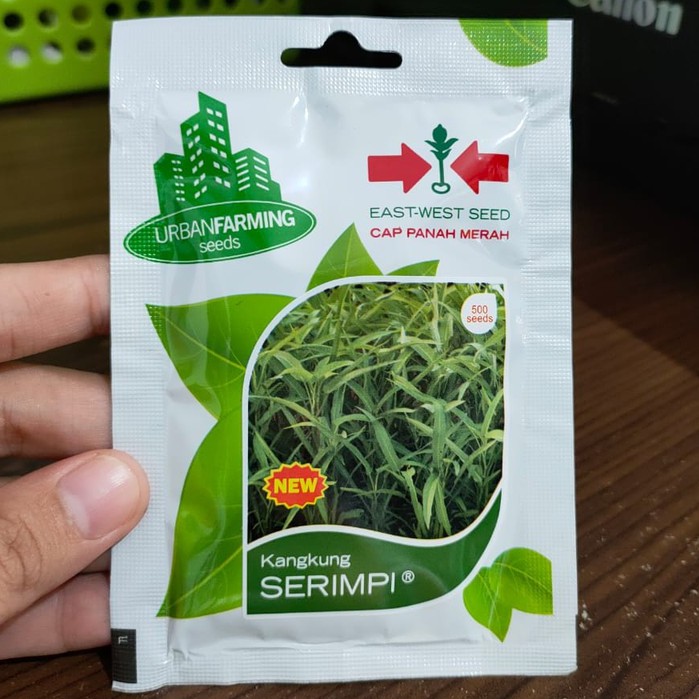 UF - benih KANGKUNG BANGKOK isi 500 biji - benih KANGKUNG SERIMPI isi 500 biji - bibit kangkung - kangkung daun sempit - kangkung daun lebar - urban farming panah merah