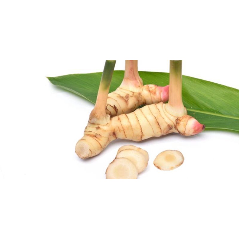 

lengkuas|fresh|250gram|bumbumasak