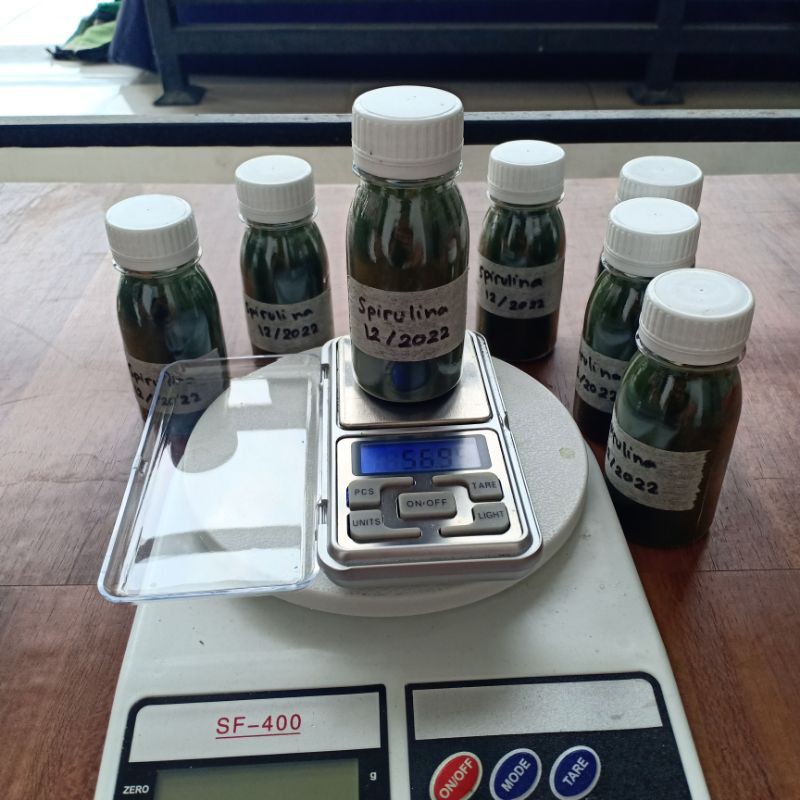 

Organik Spirulina Bubuk Murni 50 Gram