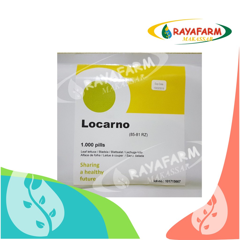 Benih Bibit Selada keriting Lolo Locarno RZ - 1.000 Pill