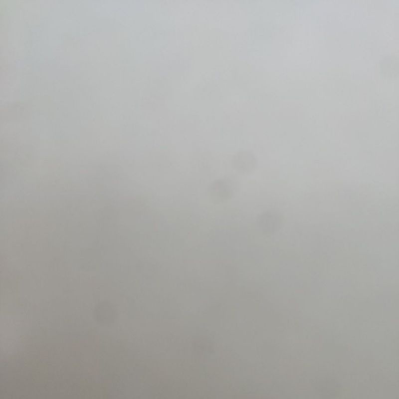 ORIGINAL Kelaya Hair Treatment Shampoo Shampo Botak Rontok Penumbuh Rambut-Miyara hair tonic