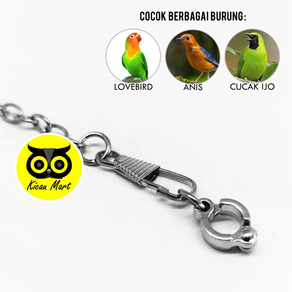 RANTAI KAKI BURUNG LOVEBIRD RING BORGOL IMPORT 5 MM RANTAI FF UMBARAN FREE FLYING LOVEBIRD LB LOVE BIRD ANIS CUCAK JALAK SUREN DLL