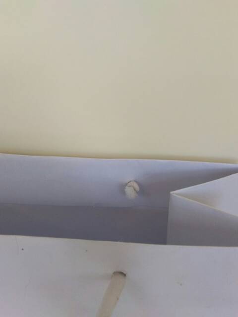 (1 PCS) PAPERBAG PUTIH L POLOS (ALAS 25x12 X TINGGI 33)