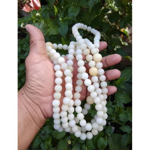 TASBIH BIJI GEBANG / POCOK