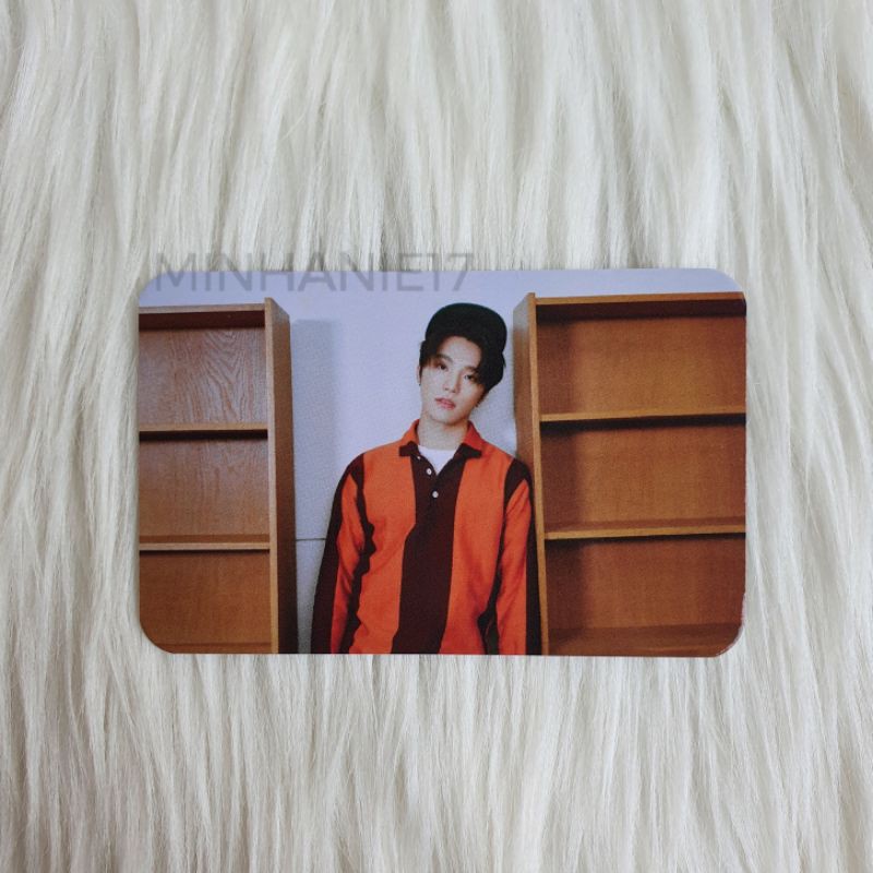 Seventeen Semicolon Benefit Mecima mcp Dino