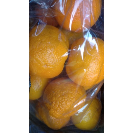 

Jeruk Mandarin Ponkam minim order 2 @ per kilogram