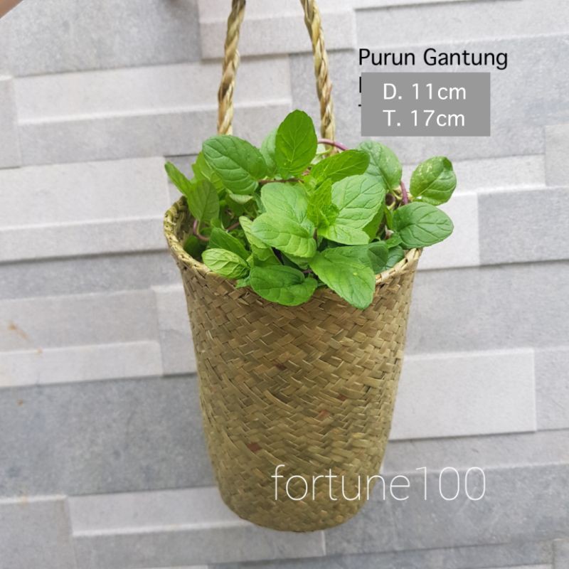 Cover Pot Purun Gantung / Pot Gantung Anyam / Coverpot Anyaman E05