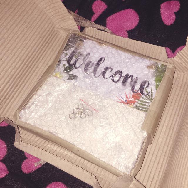 Wooden Projects Hiasan Pajangan Dinding Vintage Flamingo - Pf2