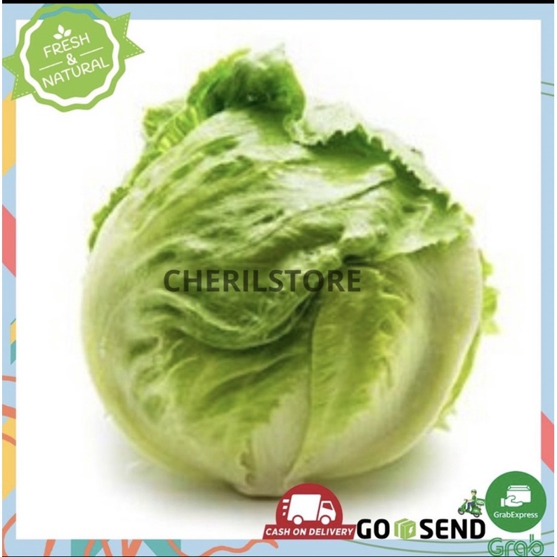 Lettuce  sayur sayuran segar surabaya Grosir cherilstore