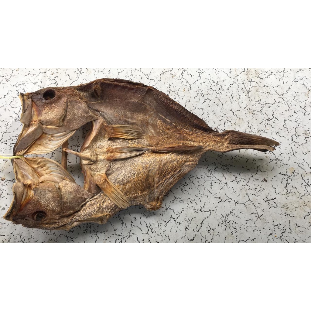 

Ikan Kerapu Asin