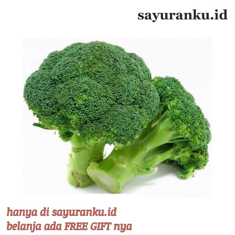 

brokoli 500 gram sayur segar sayuran fresh pasar murah pasar jakarta