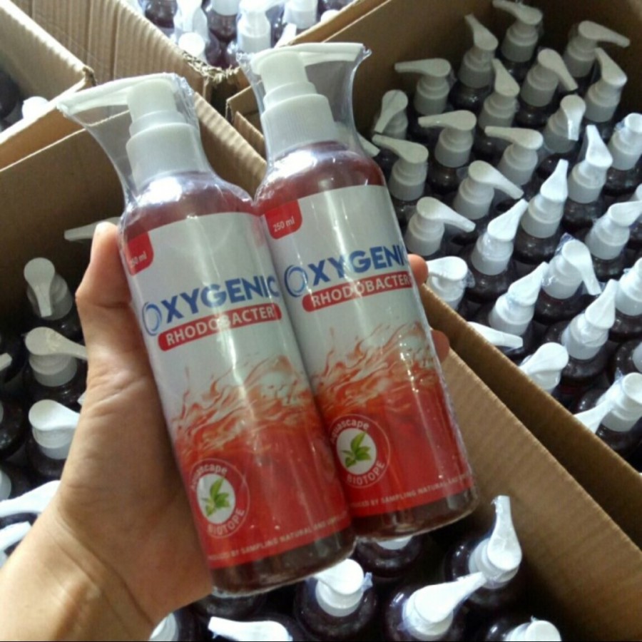 Oxygenic Aquarium Aquascape Rhodobacter bacteri starter 250ml