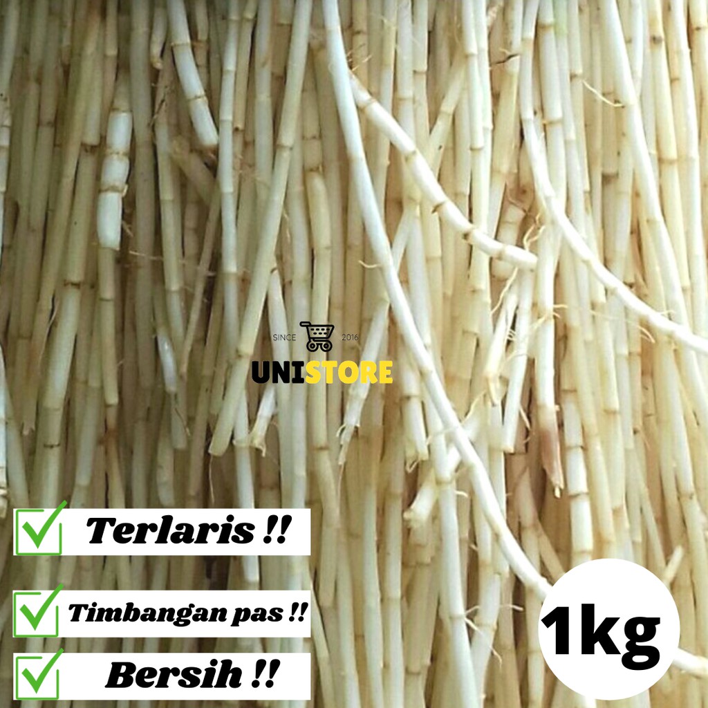 

(1KG) AKAR ALANG ALANG SEGAR BERSIH SUPER