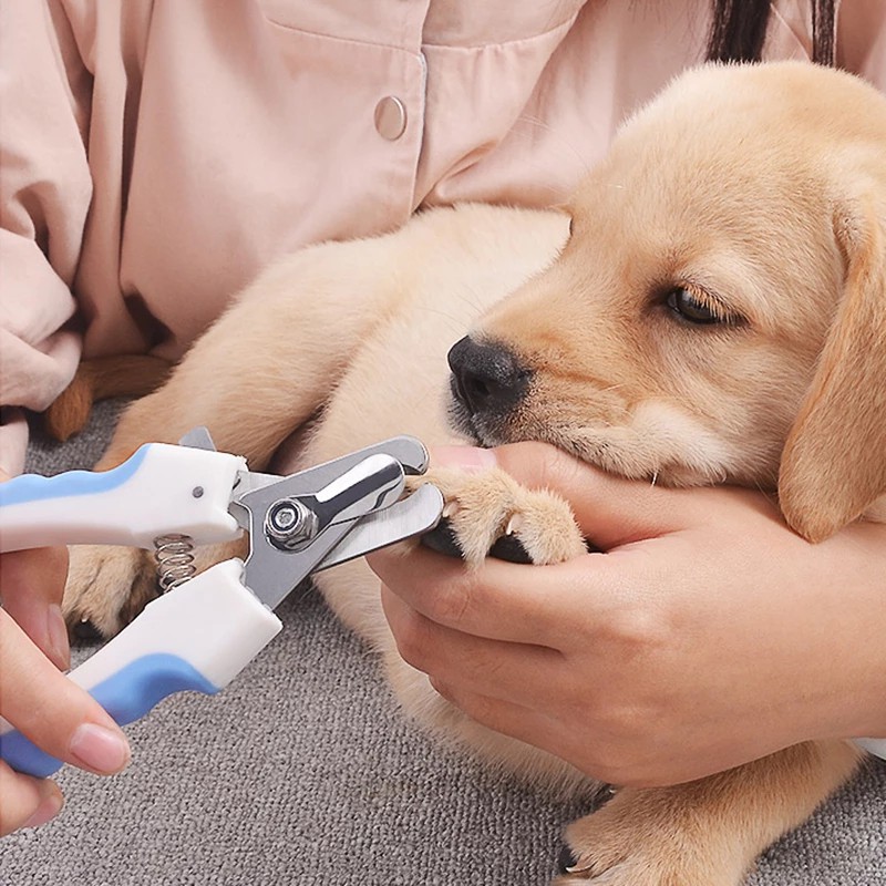 Gunting Kuku Kucing/Anjing Besar Dengan Nail File