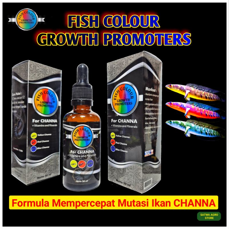 OBAT MUTASI IKAN CHANNA, FISH COLOUR GROWTH PROMOTERS FOR CHANNA