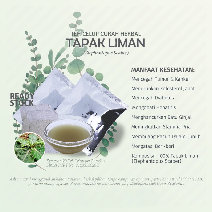 

Teh Celup Herbal TAPAK LIMAN (Elephantopus Scaber) untuk Hepatitis, Anemia, Keputihan, dan Amandel