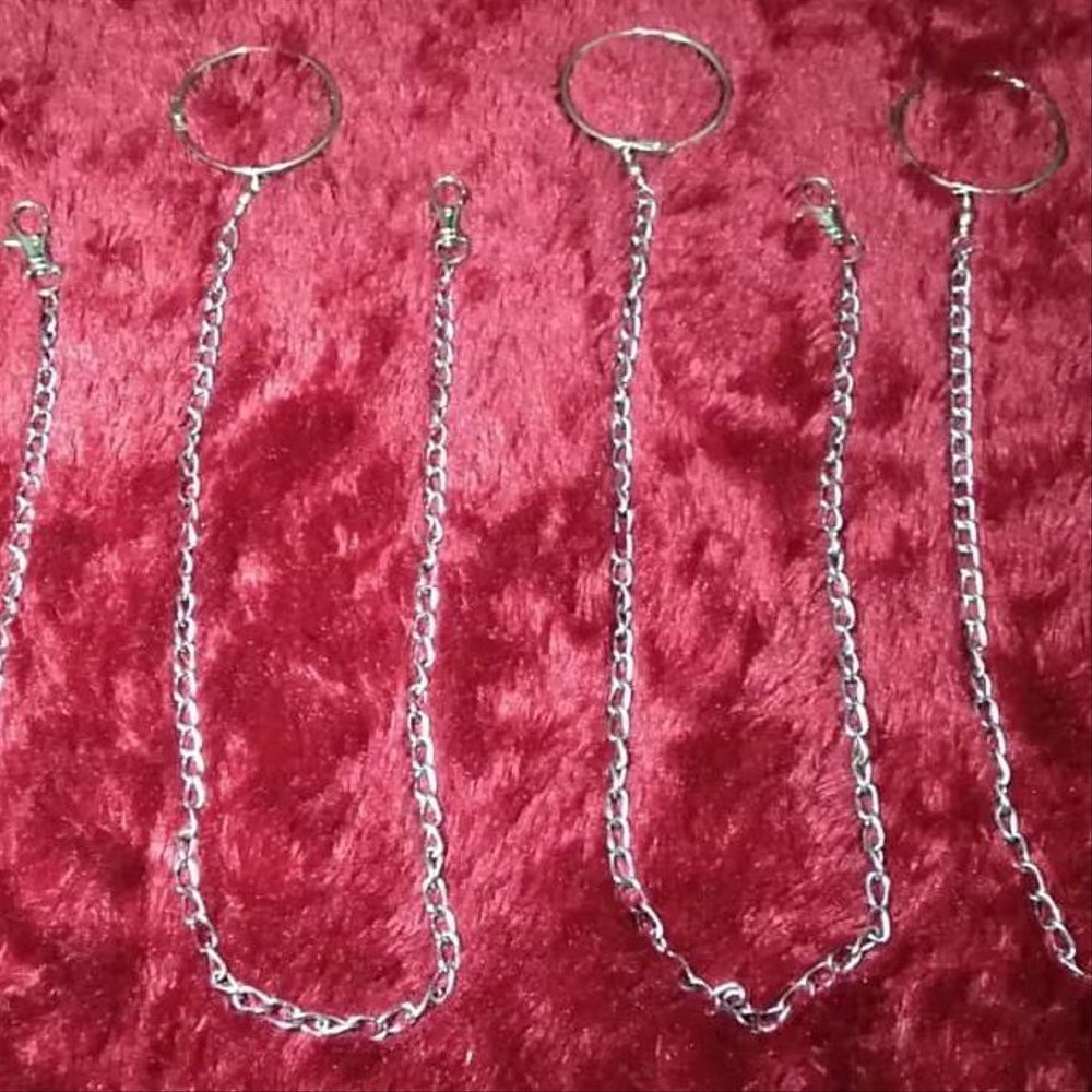 Ready Promo Rantai Burung Sun Conure Monk Irn Dll Murah Shopee