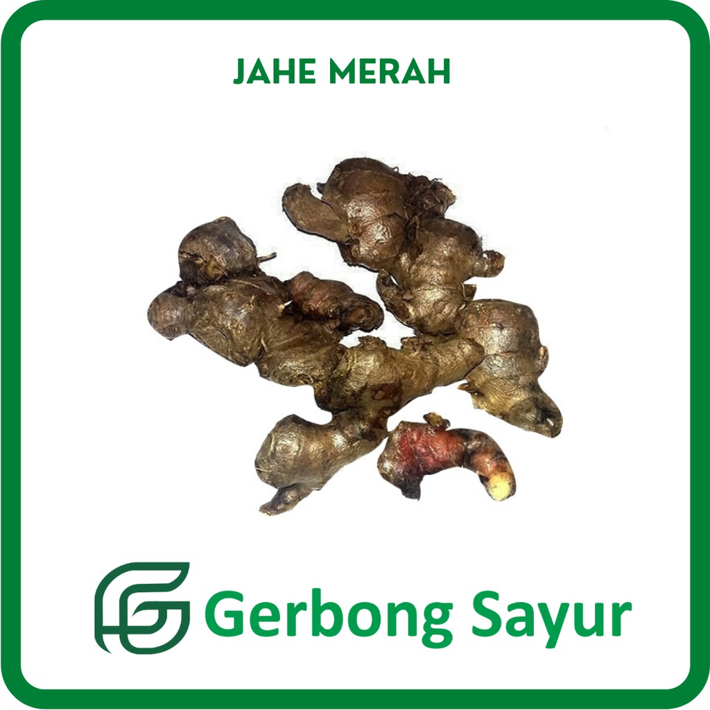 

Bumbu Jahe Merah Segar - 250g