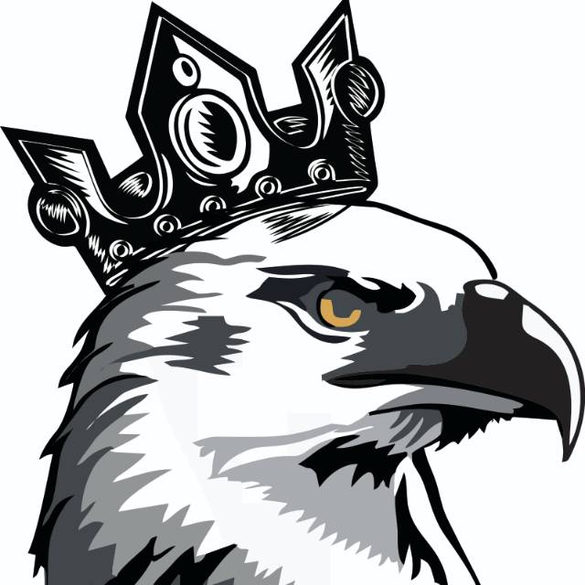 620+ Gambar Burung Helang Hitam Putih HD Terbaru