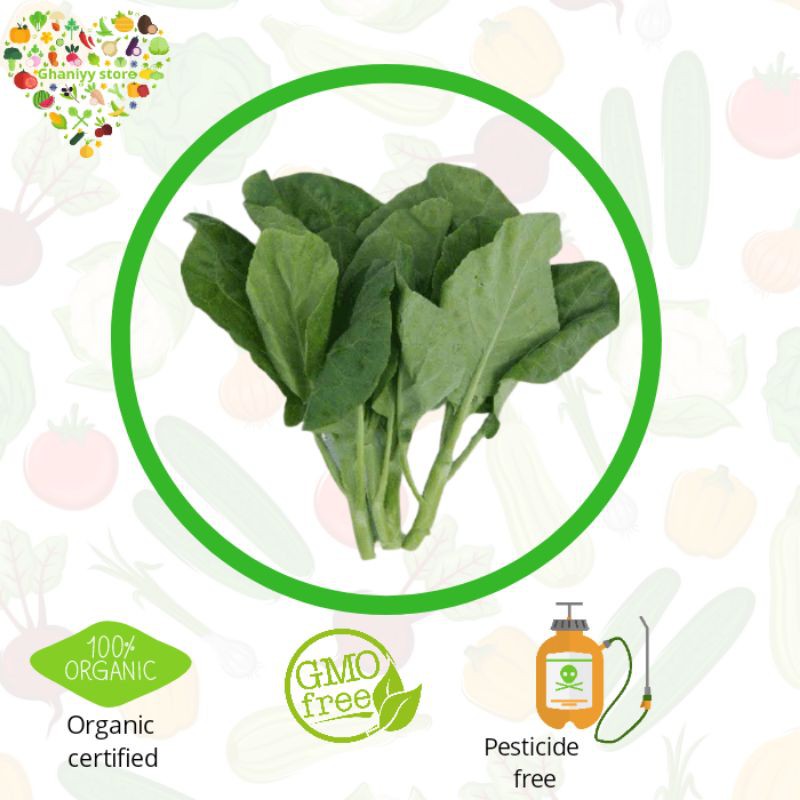 

sayur organik - kailan organik