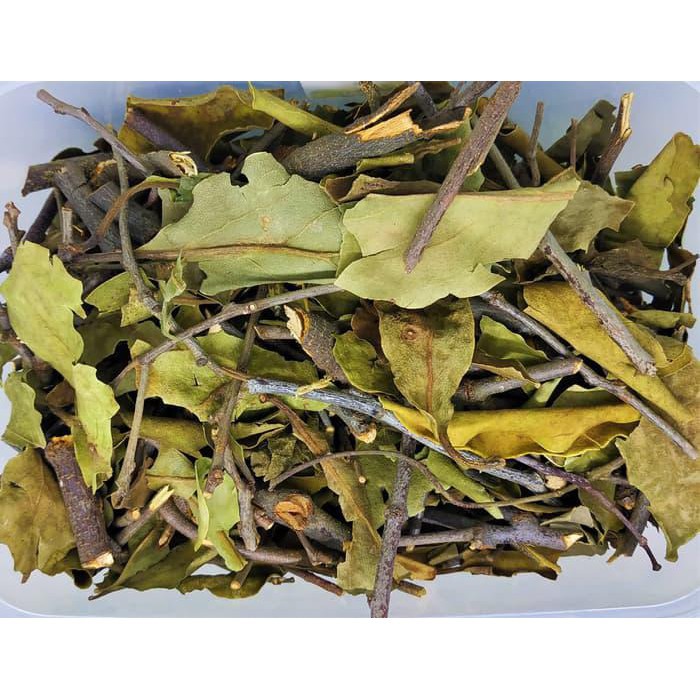 

Teh Benalu obat herbal kanker, kista, myom, tumor, kolesterol, darah tinggi