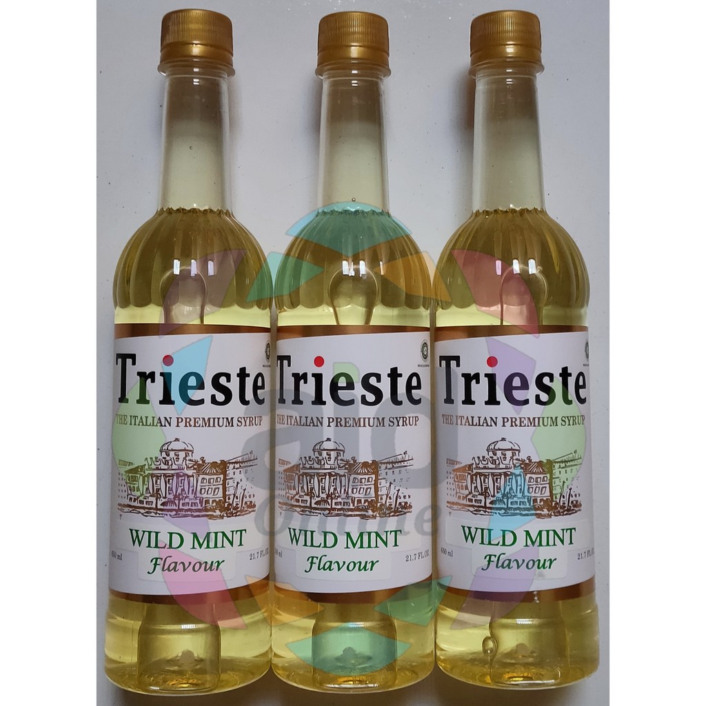 

Trieste Italian Premium Syrup Wild Mint Flavour