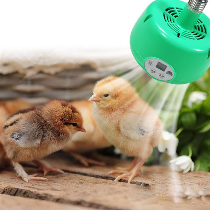 Blower Pemanas Anak Ayam Reptil Kandang Blower Digital Blower Penghangat Kandang Dapat Disesuaikan D