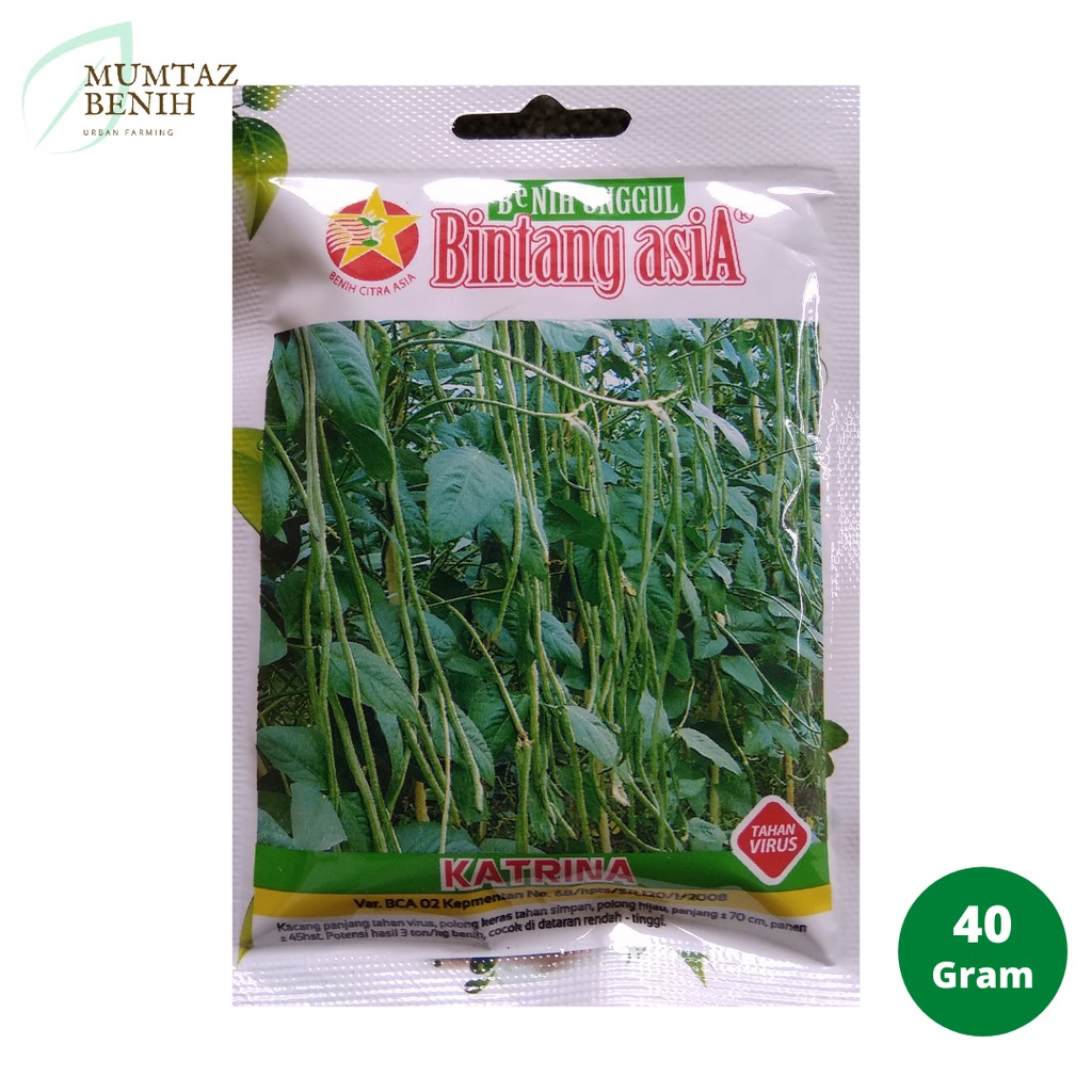Benih Kacang Panjang Katrina (Bintang Asia)