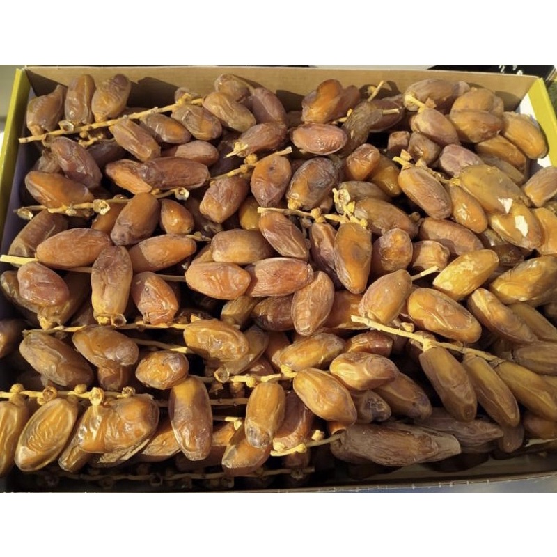 

KURMA TANGKAI PREMIUM ORIGINAL FRESH 100%
