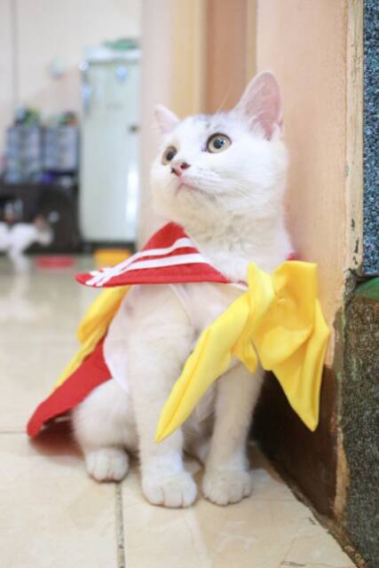 Dress sailormoon Mars untuk kucing &amp; anjing /Jual Baju Kucing Terlengkap &amp; Berkualitas size S-XL