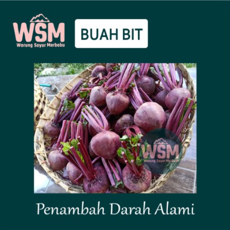 

5KG /BUAH BIT/ BEETROOT/MURAH/BERKUALITAS