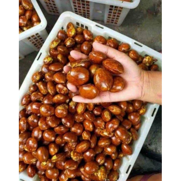 

Jengkol TUA 1 KG Punel