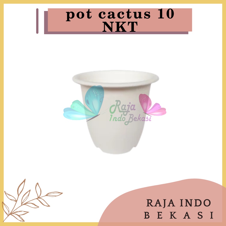 Pot Kaktus Nkt 10 Putih Pot Cactus Nkt 10 Cm Putih Pot Plastik Putih Bibit Kaktus Putih Tanaman