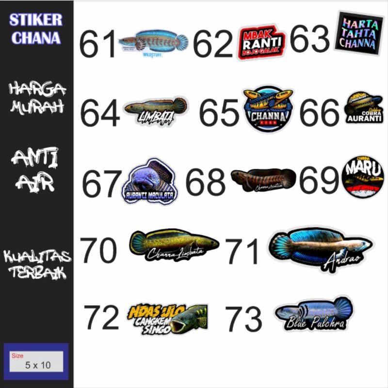 Sticker ikan CHANNA AQUARIUM,STICKER,antiAIR stiker ikan hias aquarium stiker cana , cana , stiker chana , chana