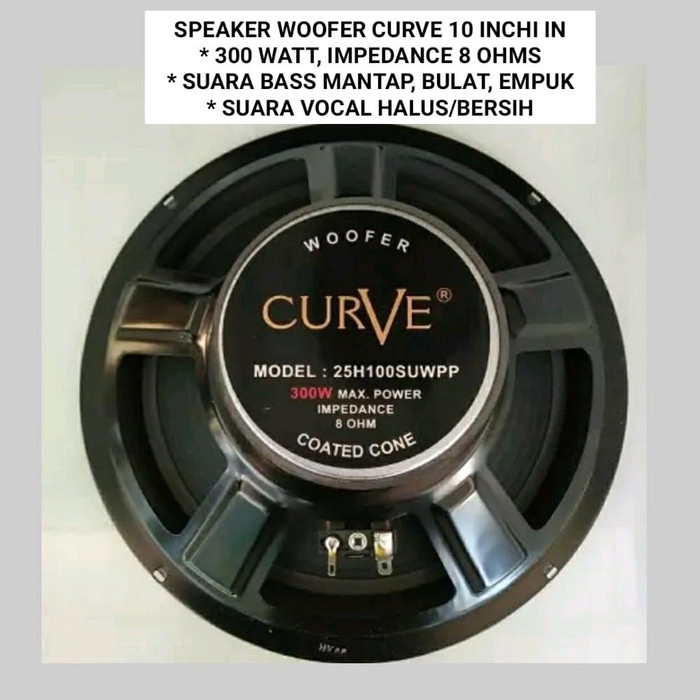 SPEAKER 10 INCH WOOFER CURVE 25H100SUWPP 300 WATT