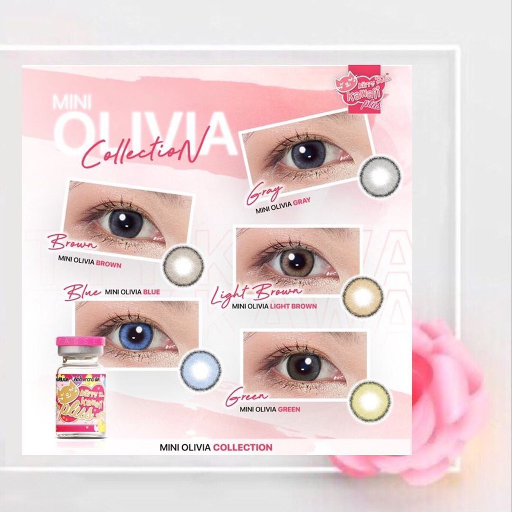 Softlens Kitty Kawaii Mini Olivia (Natural Series) Gray Grey Blue Green Brown Light Brown Soflens