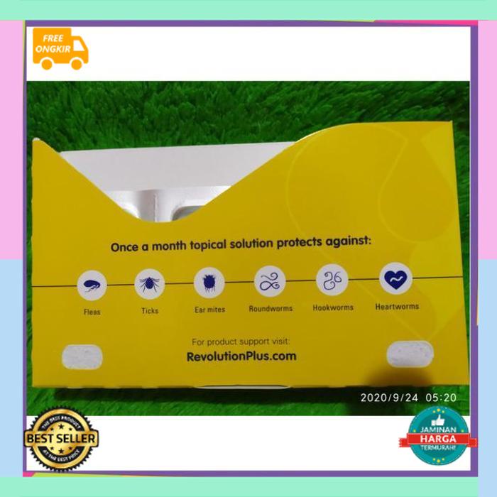 Revolution Kitten Plus (Berat Badan 1 - 2.5kg) / Obat Kutu Anak Kucing Nafsu Makan, Bulu Rontok,