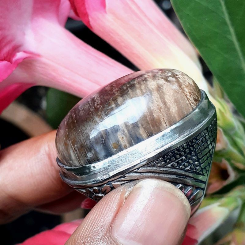 Fosil Bambu Jumbo Kristal