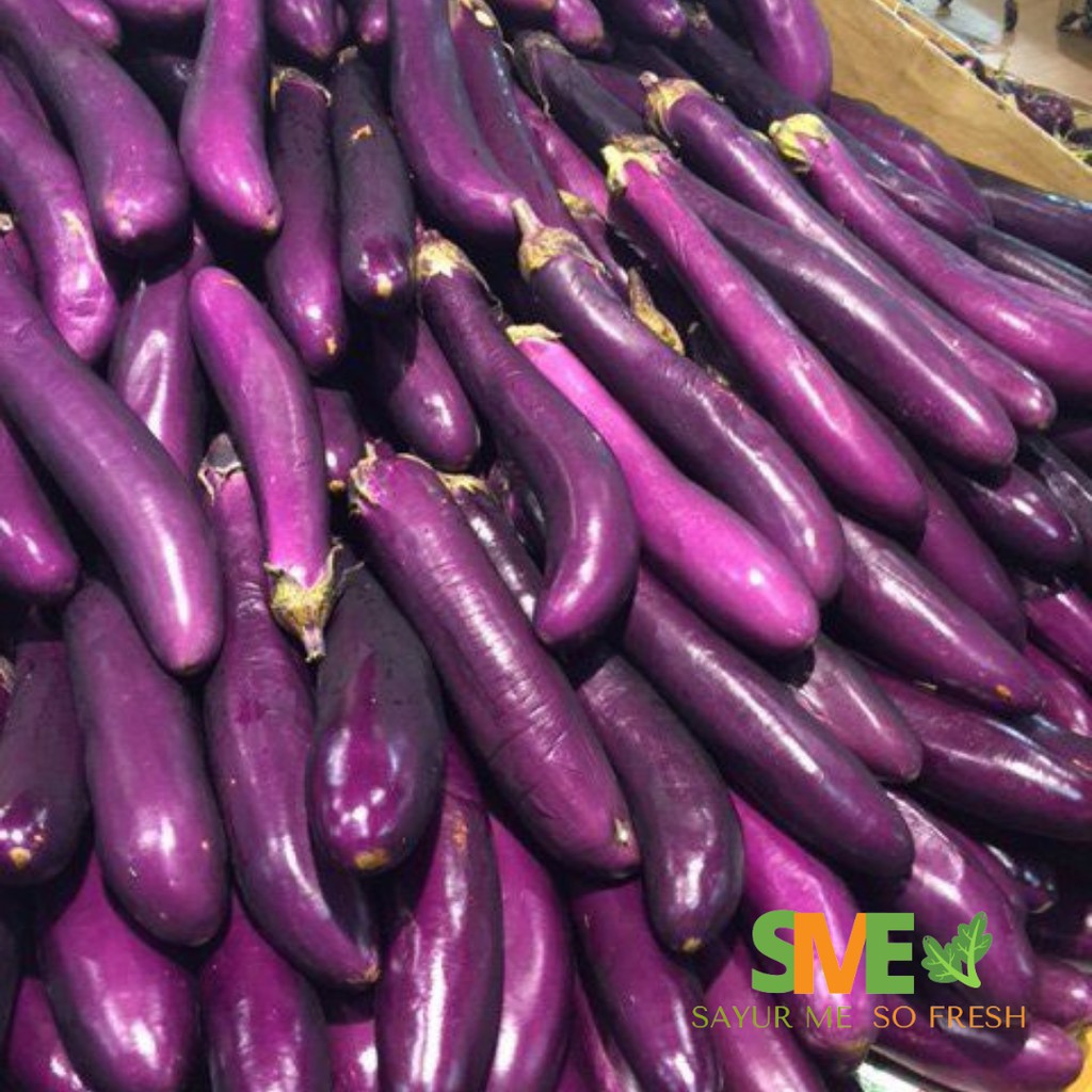 

Terong Ungu Murah Setengah kg/500 gram Grosir Pasar Induk