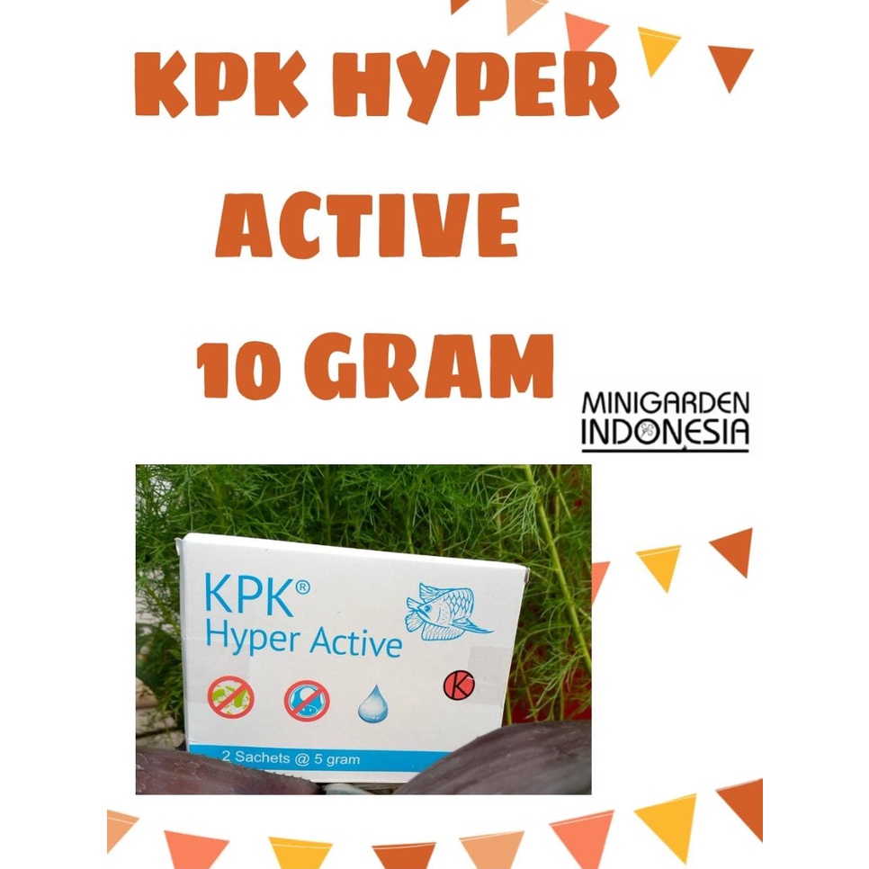 OBAT IKAN PENJERNIH AIR KPK HYPER ACTIVE 10 GRAM ANTI JAMUR BAKTERI