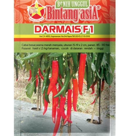 Paling Sesuai.. Benih Cabe DARMAIS F1 berat 10gram (Cabe besar)