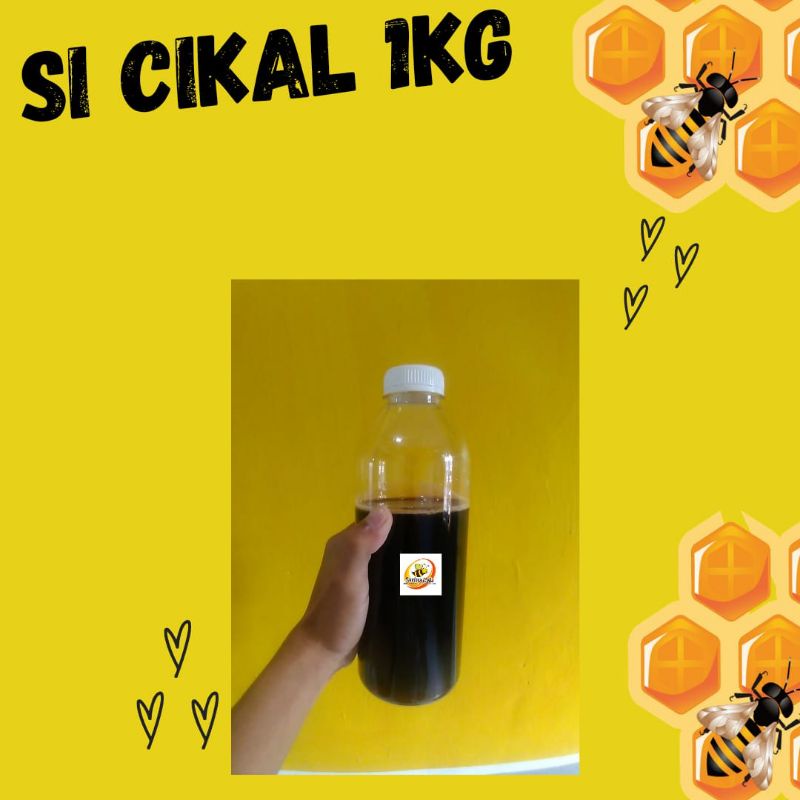 

Madu Akasia Murni 100% (1kg)