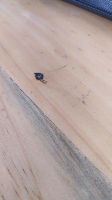 (cod) Kemeja Batik Pria/kemeja Cassual/kemeja Wisuda/kartinian/kemeja Engagement